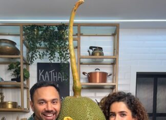Sanya Malhotra Instagram - Must try recipe of KATHAL 🌮 at home! Don't forget to make this recipe and enjoy the movie KATHAL which comes to Netflix on May 19th! Dost @sanyamalhotra_ will not only make you smile and giggle but will leave you with a great message too! Chalooooo let's find and cook this #Delishaaas Kathal taco. . . #kathal #jackfruit #recipe #movies #tacos #tacotuesday