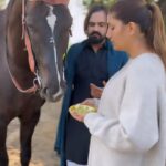 Sapna Choudhary Instagram - दो जिस्म इक जान बने "आपा दोनों जने"❤️ @dreamsentertainment99 @b_paras_official @parhladphagna @meenakshi_panchal88 @iamsukhbirgill @iamyashbayla #sapnachoudhary #sapnachaudhary #sapnaharyanvi #desiqueen #sapnachaudharyharyanvi #sapna #trendingreels #treanding #instagood #reelitfeelit #reelkarofeelkaro #positivity #positivevibes #animallovers #thankgodforeverything