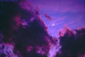 Sara Arjun Instagram - Sorry i didnt kiss you @clairo 

.

.
#music #favorite #favoritesong #clairo #dint #kiss #nature #sky 
Happiness 🤗💫

.

.

.

#dream #love #happy #girlidea #mumbai #maharashtra #dilhi #sara #fypシ #lovequotes #chennai #kerala
