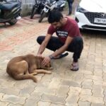 Sathish Instagram - #naaisekar 🐕 #edakkumodakku 😍 #edakkumodakkusong 😍 #edakkumodakkuchallenge 😍 @sonymusic_south @chachi_dir @pavelnavageethan @kpy_sathish_kumar @aakashravichandran31 @bharath_19_official @rajaiyyappan_13