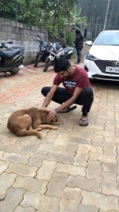Sathish Instagram - #naaisekar 🐕
#edakkumodakku 😍
#edakkumodakkusong 😍
#edakkumodakkuchallenge 😍 @sonymusic_south @chachi_dir @pavelnavageethan @kpy_sathish_kumar @aakashravichandran31 @bharath_19_official @rajaiyyappan_13