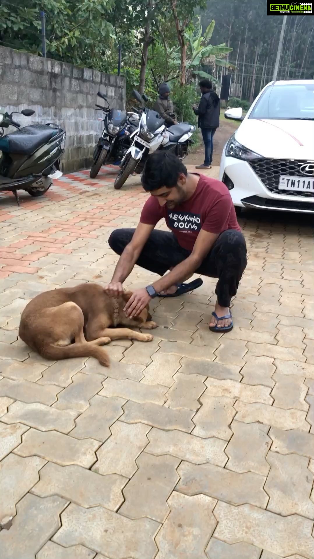 Sathish - 90.1K Likes - #naaisekar 🐕
#edakkumodakku 😍
#edakkumodakkusong 😍
#edakkumodakkuchallenge 😍 @sonymusic_south @chachi_dir @pavelnavageethan @kpy_sathish_kumar @aakashravichandran31 @bharath_19_official @rajaiyyappan_13