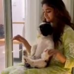 Sathish Instagram - Thank u @keerthysureshofficial for accepting my #edakkumodakkuchallenge 😜 #edakkumodakkusong #edakkumodakku #naaisekar