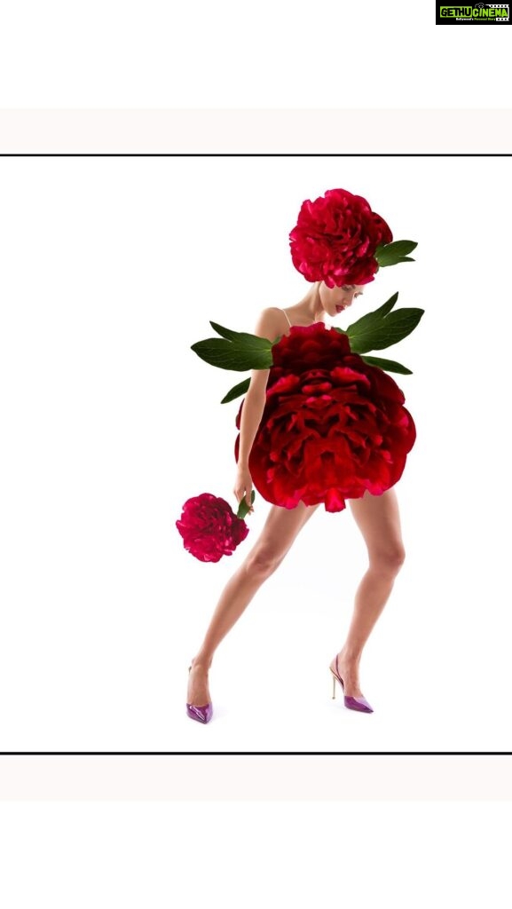 Scarlett Mellish Wilson Instagram - FLOWER POWER 🌺!!! Our favourite collection !!! @danielemahphotography @wild.flowers2023 #flowerart #flowerphotography #flowerpower #art #wildflowers #flowermodel #creativeart London, United Kingdom