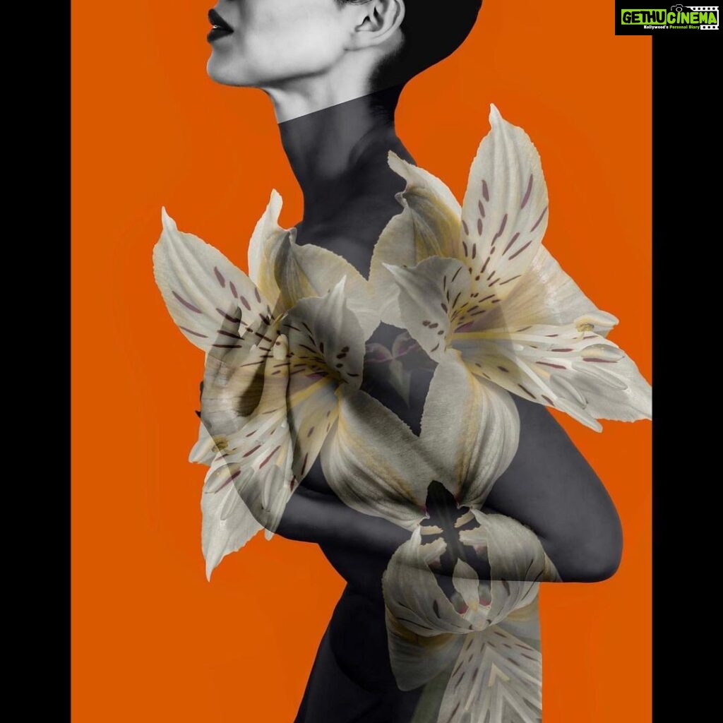 Scarlett Mellish Wilson Instagram - An absolute honour to be shot by this remarkable artist 📷 @danielemahphotography Posted @withregram • @danielemah65 Really looking forward to New York in a few weeks for art expo art fair. I’ll be showing some of these new works 🧡💛 limited edition prints. flowers #mothernature creation #fleursauvage all photographed on the #cotedazur #wildflowers #figurative #model #scarlettwilson #flowerbodyart #nakedportraits London, United Kingdom