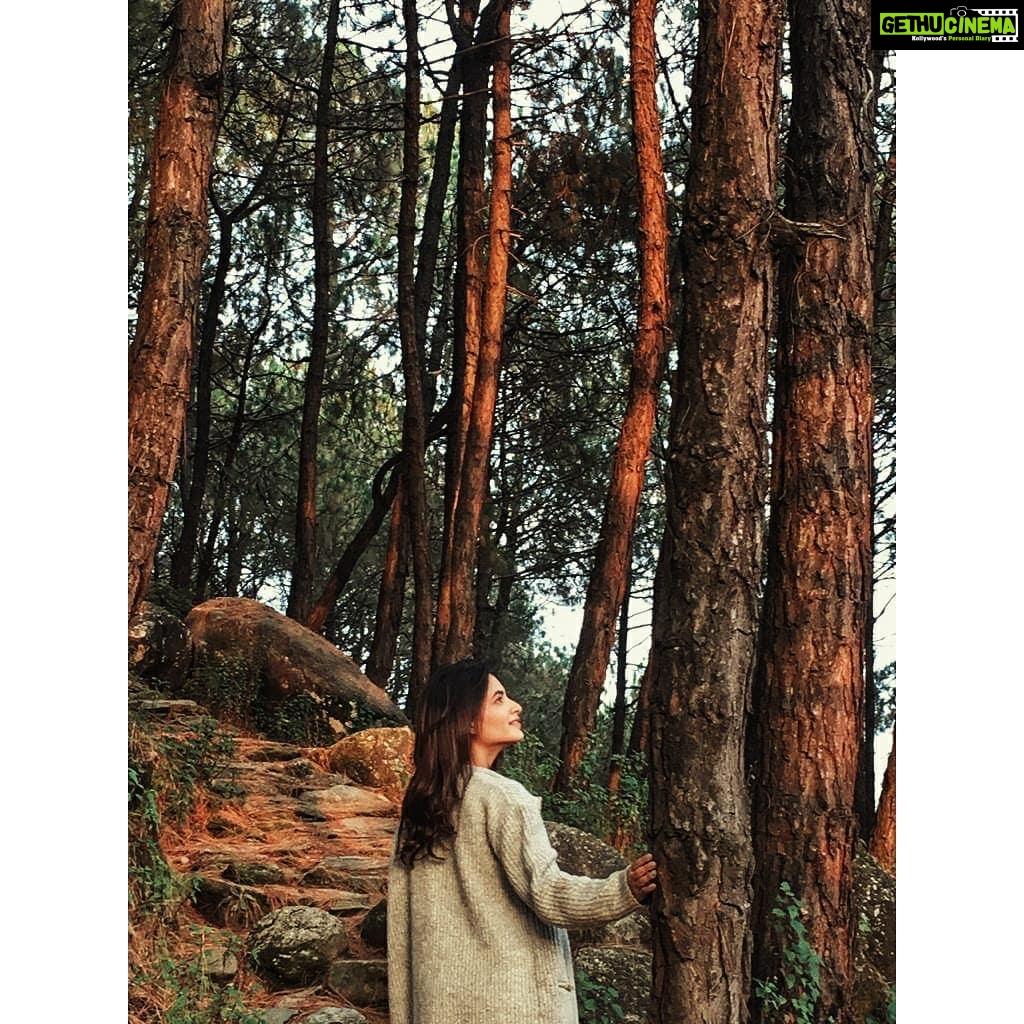 Shagun Sharma Instagram - And Into the forest I go to lose my mind and find my soul 💔 Pc : @yaaneeabharadwaj . . . . . . . . #instagram #instapost #igexplore #actorlife #igfashion #style #instagood #prettypretty #bollywoodactress #fashionweek #indianactress #explorepage #quarantine #instacool #fashion #fashionstyle #insta #instagramers #nature #travel #himachalpradesh