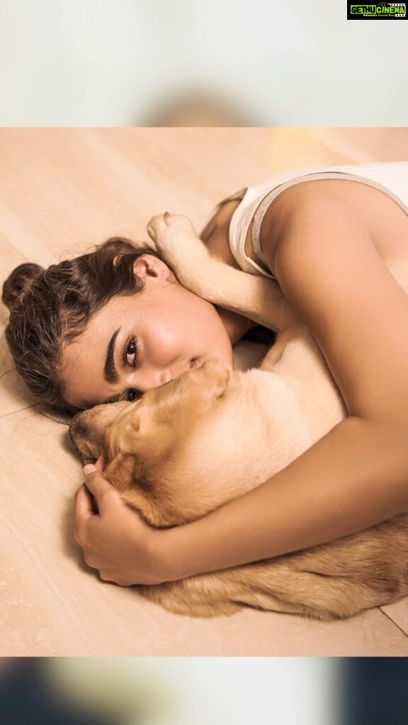 Shalini Pandey Instagram - Pawsitively perfect moment with my furry babies  Snapped this adorable recreation with the help of my #vivoX90Series.  Its incredible features like ZEISS Natural Color 2.0, helped me recreate another eternal memory, preserving every color and detail. Try out yourself and make your every moment extraordinary. @vivo_india
