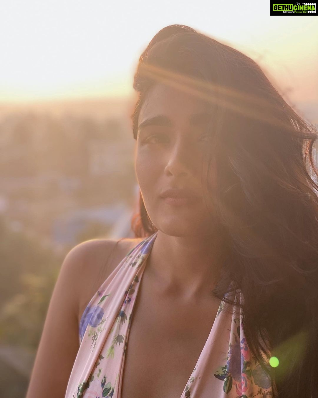 Shalini Pandey Instagram - Hello 2023, May all of us have more kindness, warmth, unbiased love, mutual respect, animal love and sympathy, compassion, resilience & passion amongst each other. Let’s work towards achieving our dreams, overcoming our illnesses and being plain…..HUMAN:)🙃 #happynewyear #2023 🤍