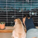 Shalini Pandey Instagram - Just us dealing with life✌🏽🐾 📸 @therealpoojapandey