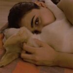 Shalini Pandey Instagram - Which picture gives you heart eyes the most? #photodump #random #mood