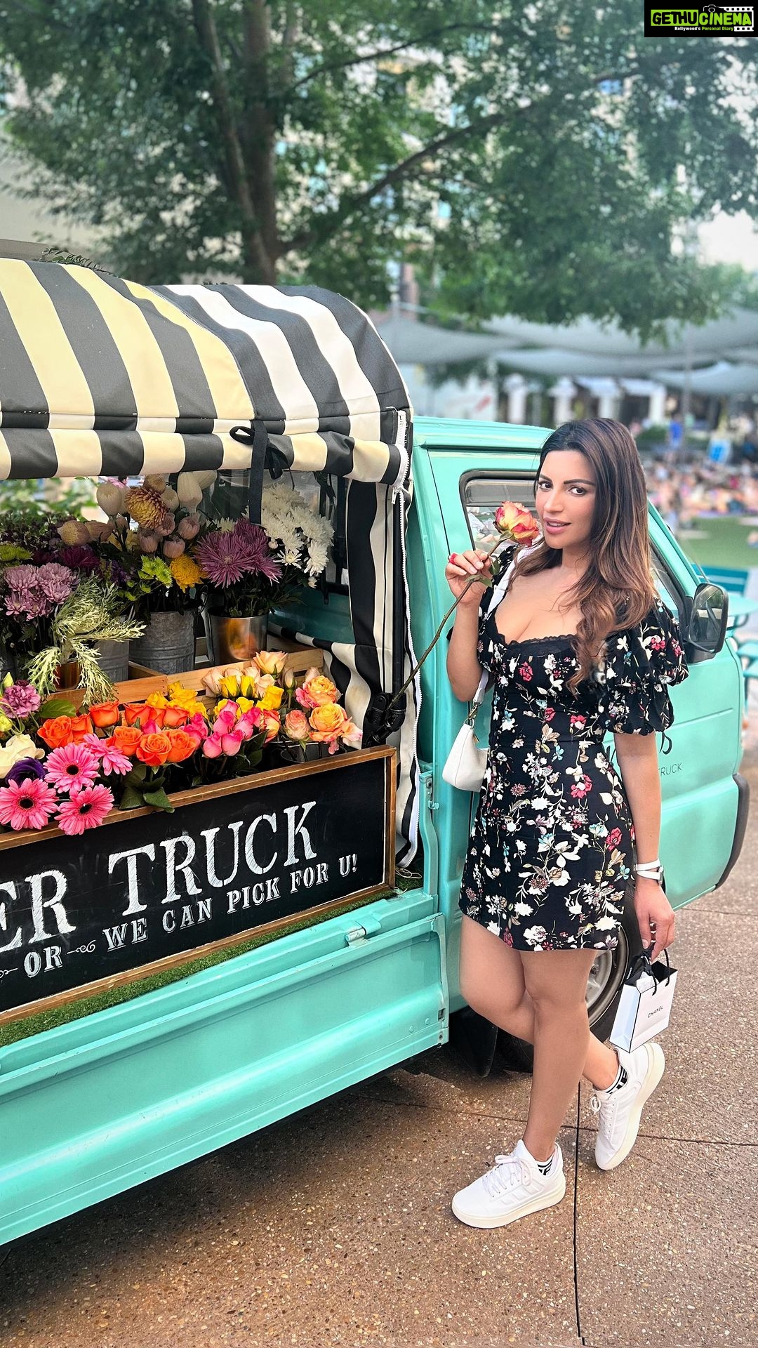Shama Sikander Instagram - Sher Ghoomde ni tere sher ghoomdeee….. ghoomoing in this beautiful town in Atlanta …. #alpharetta #atlanta #georgia #usa #travelwithss #shamasikander #lovelylittlethings #lovelife #travelvideos #flowers #shopping #instadaily #mood #joy