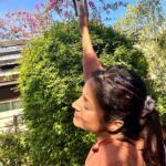 Shehnaaz Kaur Gill Instagram - ☀️