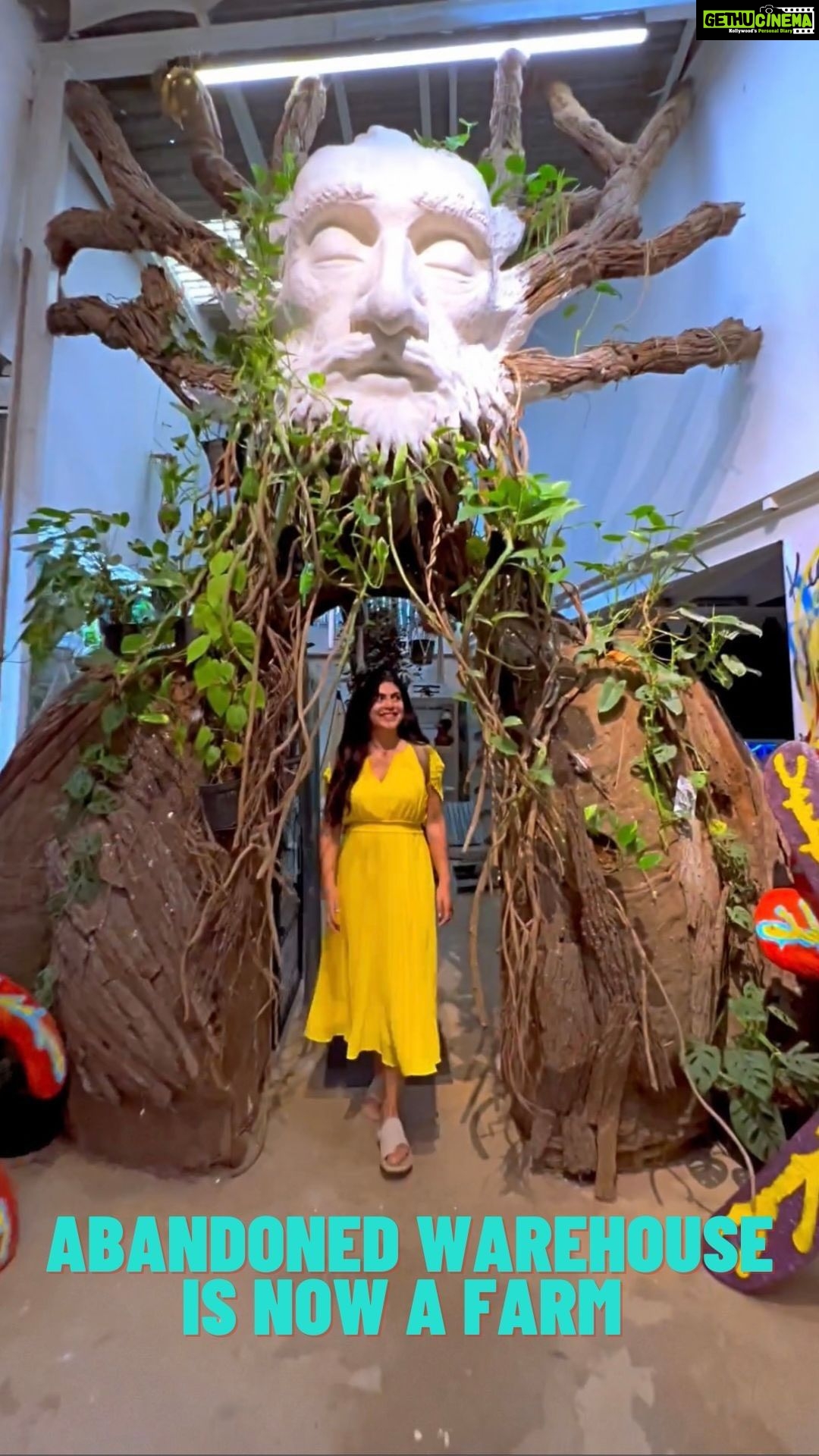 Shenaz Treasurywala Instagram - An abandoned warehouse is now a thriving organic farm and an urban space for artists scientists chefs gardeners dreamers and change-makers Who believe in ‘regenerative culture’ Wait what’s that!? Regenerative culture focuses on healing the environment and building human relations. Everything here is recycled or grown! This just shows how sustainability is the way ahead and the future. These people show us how to live in synergy with nature! Here is the space in all its glory captured with TECNO Camon 19. Keep Loving. Keep Living! #LivinHerStory with #ShenazTreasury & #HistoryTV18 Co-powered by @tecnomobileindia #TECNO #TECNOCAMON19 #KeepLovingKeepLiving Bengaluru