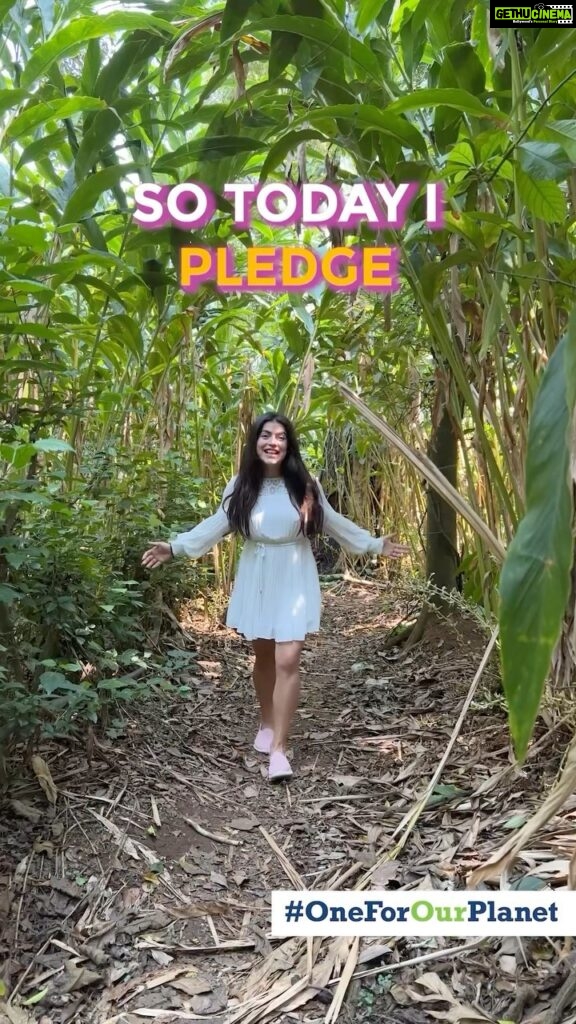 Shenaz Treasurywala Instagram - Being earth friendly isn't just a 10 day thing, it's a way of life. I promise to to support local businesses and reduce my carbon footprint by buying handmade products. Join me in paving the way towards a sustainable future, hand in hand with Pernod Ricard India as they remove permanent monocartons. Let's make a difference, one handmade purchase at a time. #sustainability #sustainable #earth #earthday @pernodricardindia Munnar, Kerala, India.