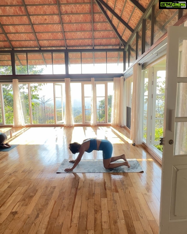 Shenaz Treasurywala Instagram - Pool, yoga, ayurvedic meals and massages! Just another day in Kerala ❤️ Have you ever stayed at an Ayurvedic Resort? Which is your favourite in india? @spicetreewellness Munnar, Kerala, India.