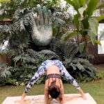 Shilpa Shetty Instagram - Practicing the Prasarita Padottanasana Pratirupam stretches the hamstrings, calves, glutes, and lower back. It also improves hip-joint flexibility. Giving the body that much-needed stretch early in the day rejuvenates you. However, people suffering from slip-disc, high blood pressure, vertigo, and migraines should avoid this pose. If you try this one, don’t forget to remix it with me!🧘‍♀️🧘‍♂️ #MondayMotivation #SwasthRahoMastRaho #FitIndia #SimpleSoulful #FitIndiaMovement #yoga #yogisofinstagram #yogasehihoga