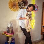 Shivin Narang Instagram - #Holly 1st Birthday 🎉 🐶 She is the cutestttt & @shriyanka1 @vanshiks Congratulations n lots n lots of love ❤️🤗