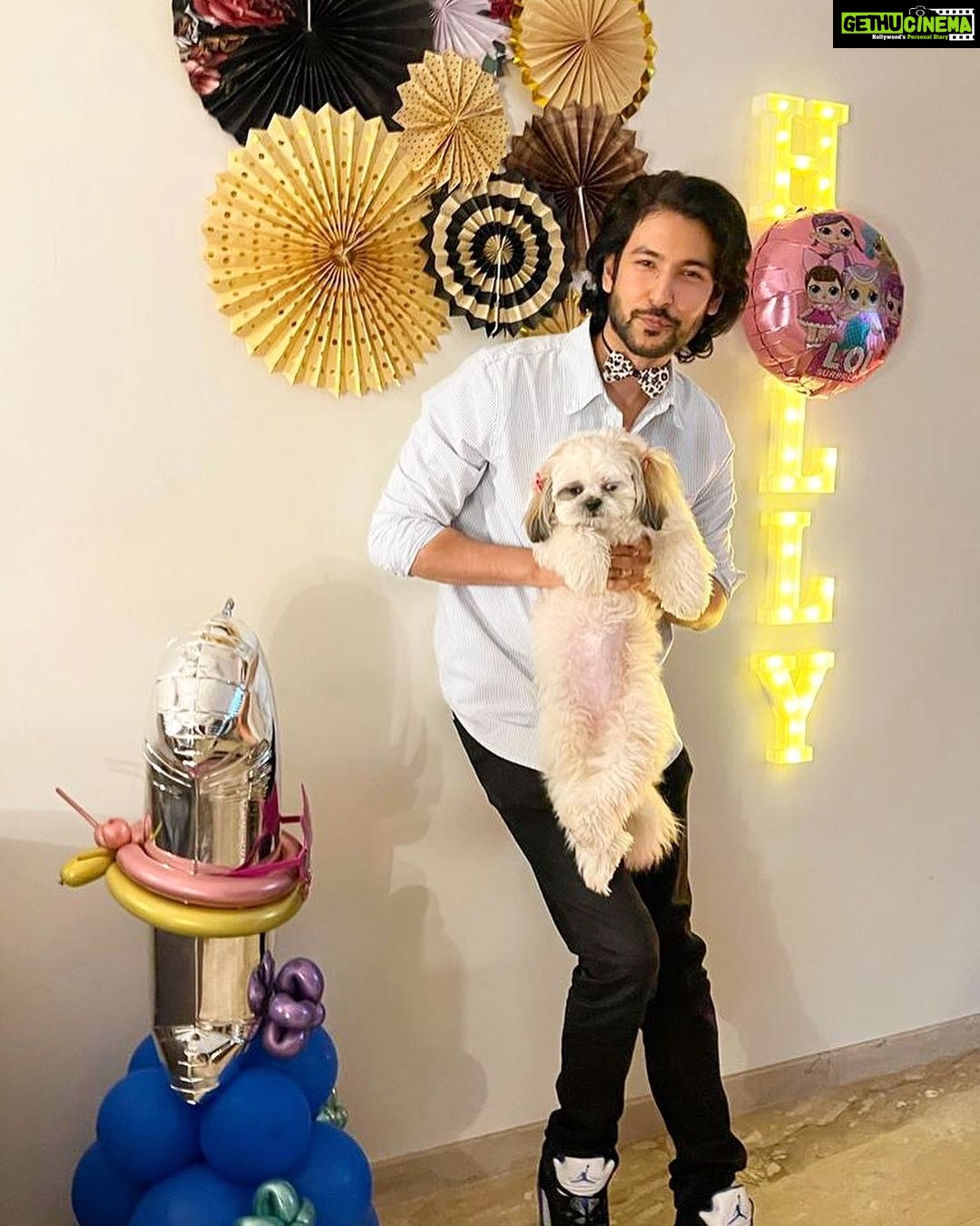 Shivin Narang Instagram - #Holly 1st Birthday 🎉 🐶 She is the cutestttt & @shriyanka1 @vanshiks Congratulations n lots n lots of love ❤️🤗