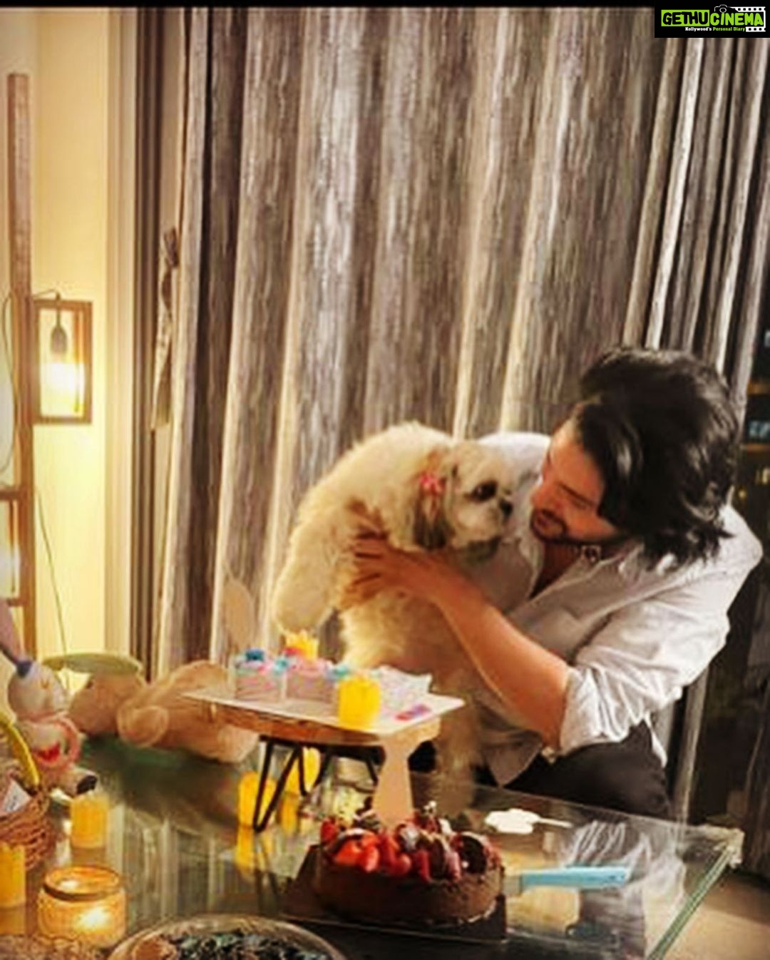 Shivin Narang Instagram - #Holly 1st Birthday 🎉 🐶 She is the cutestttt & @shriyanka1 @vanshiks Congratulations n lots n lots of love ❤️🤗