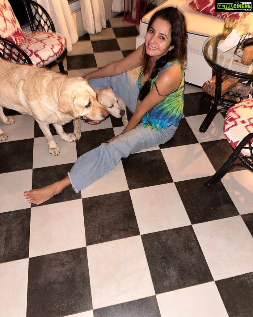 Shonali Nagrani Instagram - My world:) 📸: @karishmakotak26 . #home #lucyandoliver #pets #love #labsofinstagram
