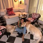 Shonali Nagrani Instagram - My world:) 📸: @karishmakotak26 . #home #lucyandoliver #pets #love #labsofinstagram