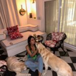 Shonali Nagrani Instagram - My world:) 📸: @karishmakotak26 . #home #lucyandoliver #pets #love #labsofinstagram