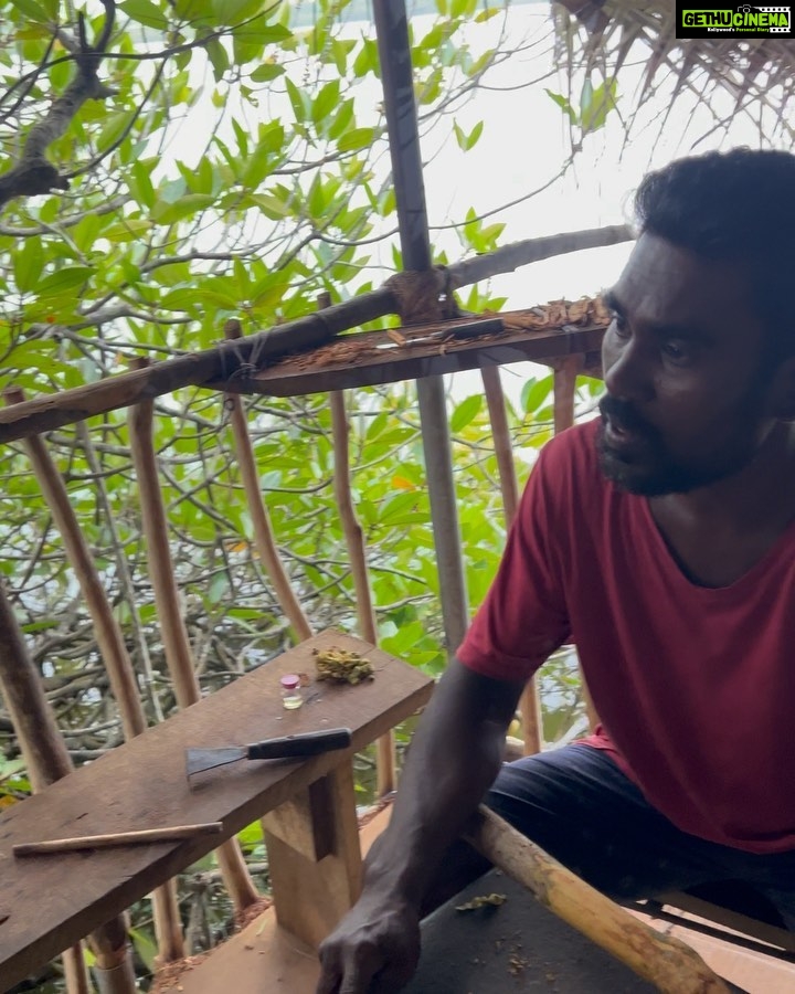Shraddha Das Instagram - Unforgettable Sri Lankan diaries continued…. @salomipillai @snehzala Wearing @freakinsindia ❤️ Colombo, Srilanka