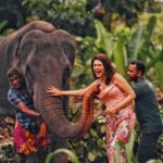 Shraddha Das Instagram – My heart is where there is an animal ❤️ Pinnawala Elephant orphanage , Sri Lanka 😍

 📸 @krishnatejah 
👱‍♀️ @versatile_makeoversartist 

#srilankatravel #elephantlove #pinnawala #shraddhadas Pinnawala, Sri Lanka
