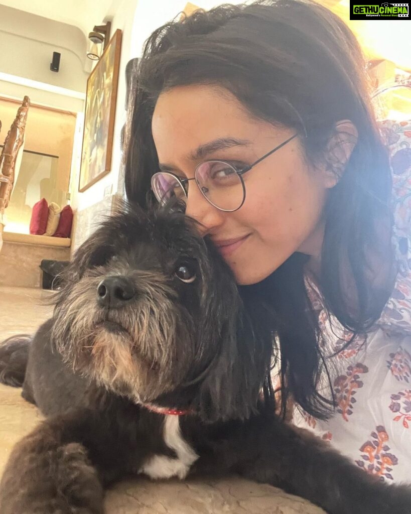 Shraddha Kapoor Instagram - Aao Shyloh ko bohot saara pyaar dete hain ❤ Happy 12th Birthday to the love of my life My Chota Babu 😘🥰😍