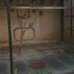 Shriya Saran Instagram – If you are animal lover , you must understand that animals should not be kept in captivity .
birds are meant to be free . So many birds in a small cage ???
This is @radisson
@radissonblualibaug
@radissonblualibaug
Shouldn’t you guys be responsible ?
Is it even legal ?
They are kept in a small cage all day !!!
Why ? So some of the guest can enjoy looking at them ?
Birds were trying to break through the cage and fly …
So sad !!!!
#freeanimals
@peta