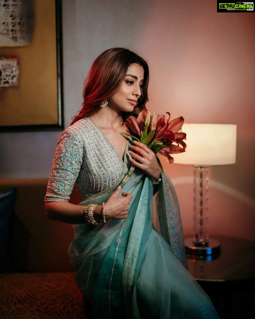 Shriya Saran Instagram - Shot with the amazing @deepak_vijay_photography he makes pictures look like a painting . You are an artist . Thank you @ajshetty for connecting us Wearing @sithara_kudige mint green saree . @kabzaamovieofficial @makeupbymahendra7 @priyanka_sherkar1 Jwellery @kushalsfashionjewellery