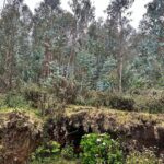 Shruti Haasan Instagram – What a beautiful time – making memories for myself with myself 💚 Thankyou Kodai for always being so beautiful #travel #kodaikanal #solotravel