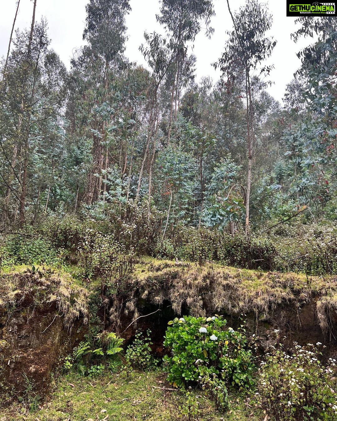 Shruti Haasan Instagram - What a beautiful time - making memories for myself with myself 💚 Thankyou Kodai for always being so beautiful #travel #kodaikanal #solotravel