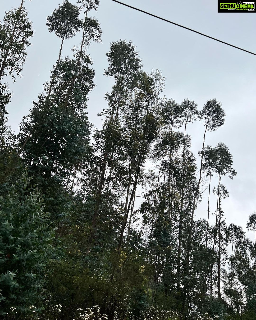 Shruti Haasan Instagram - What a beautiful time - making memories for myself with myself 💚 Thankyou Kodai for always being so beautiful #travel #kodaikanal #solotravel
