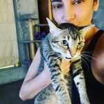 Shruti Haasan Instagram - 👋 from me and over acting Clara ❤️ the joy she brings us is so special 🧿 rescues have a beautiful story you can be a part of , Clara was rescued in 2018 along with Cora who chills downstairs 😞 but rescuing these kitties was the best thing ever and although Clara looks so distressed in this picture 😝 I’m so honoured we get to give her our love #rescues #kitties #family