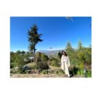 Shweta Basu Prasad Instagram - . मझखाली • family vacation • 2023 Ranikhet