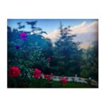 Shweta Basu Prasad Instagram - . मझखाली • family vacation • 2023 Ranikhet