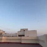 Shweta Basu Prasad Instagram -