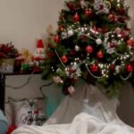 Shweta Bhardwaj Instagram - Merry Christmas from us to everyone 🎄🌲❄️⛄️💌🎊🎀❤️🤶🎉🎄🎄🎄🎄🎄
