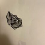 Sid Sriram Instagram – New demos, old ideas, rehearsal recordings, new sketches and nature as it exists in the suburbs