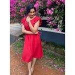 Sija Rose Instagram - Bougainvillea , a wild pink blush. . Simple and stands with lush spreading charm . She is bougainvillea 💕 . #bouganvillea #redriddinghood #pinkblush