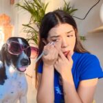 Simran Budharup Instagram - Blooper Time🤪🙈 @taxi_the_pup Kabhi Kabhi Acting Karna Bhul Jaata Hai🤣 #Blooper #fun #home #content #motivation #productivedays #success #funny #comedy #hair #makeup #follow #pandyastore #starplus #actor #rishita