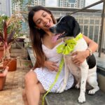 Simran Budharup Instagram - Obsessed With @hiputee ‘s Pet Products 😍 @taxi_the_pup Is Loving the Comfort And Quality Of Their Bed, Toys, Jackets And Leash Combo. Highly Recomended For All Pet Owners Out There🐶❤️ #hiputee #wherepetsarefamily #bestpetproducts #dogsofinstagram #puppy #dogproducts