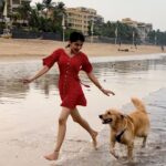 Simran Sharma Instagram - Don’t our furry friends make life just so jaadui?😍❤️ #feelitreelit #trendingreels #beach #doglovers #doglover #goldenretriever #fun