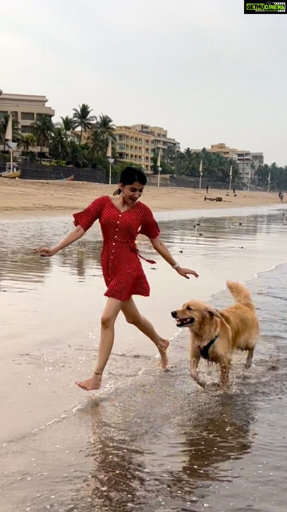 Simran Sharma Instagram - Don’t our furry friends make life just so jaadui?😍❤️ #feelitreelit #trendingreels #beach #doglovers #doglover #goldenretriever #fun