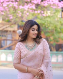 Sneha Instagram - Happy bhogi !! May all negativity be eliminated, may this bhogi bring a lot of positivity and great things to all my dearest.

@samyakksarees 
@kalasha_finejewels 
@clicks_by_ajay 
@rajesh_chinchili 

#sareelove #bhogifestival #lovewatudo💕 #festival #etvtelugu #mrnmrs #pinksaree