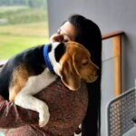 Sneha Sreekumar Instagram - Happy Birthday @oscarbeagle1 ❤❤❤ Love❤❤ #birthday #beagle