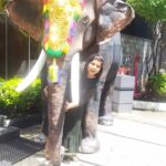 Sneha Sreekumar Instagram – 🐘😍