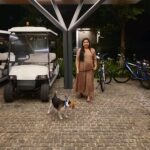 Sneha Sreekumar Instagram - ❤❤ @oscarbeagle1 #reelsuploaded #reelsinstagram #reelsvideo❤️ #reelsinsta #reelsindia #oscar #beaglelover
