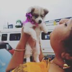 Sneha Sreekumar Instagram – പോപ്പി 😍😍😍
@kovooraaan

#petlover #minipom